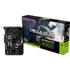 Gainward Carte graphique GeForce RTX 4060 Pegasus 8 GB