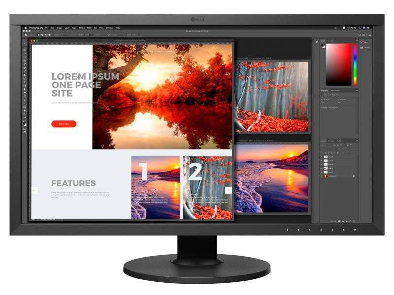 EIZO Monitor CS2740-Swiss Edition