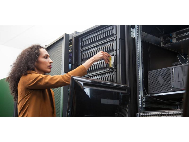 Western Digital Harddisk WD Gold 4 TB 3.5