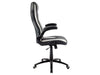 Racing Chairs Chaise de gaming CL-RC-BW-2 Noir/Blanc