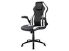 Racing Chairs Gaming-Stuhl CL-RC-BW-2 Schwarz/Weiss