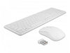 Delock Ensemble clavier-souris 12703 Wireless Blanc