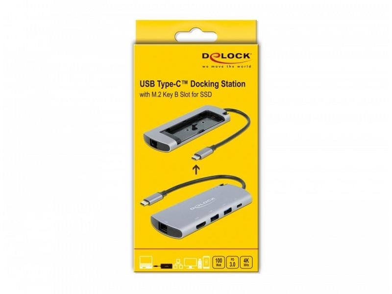 Delock Station d'accueil USB Type-C – M.2 Slot/HDMI/USB/LAN/PD 3.0