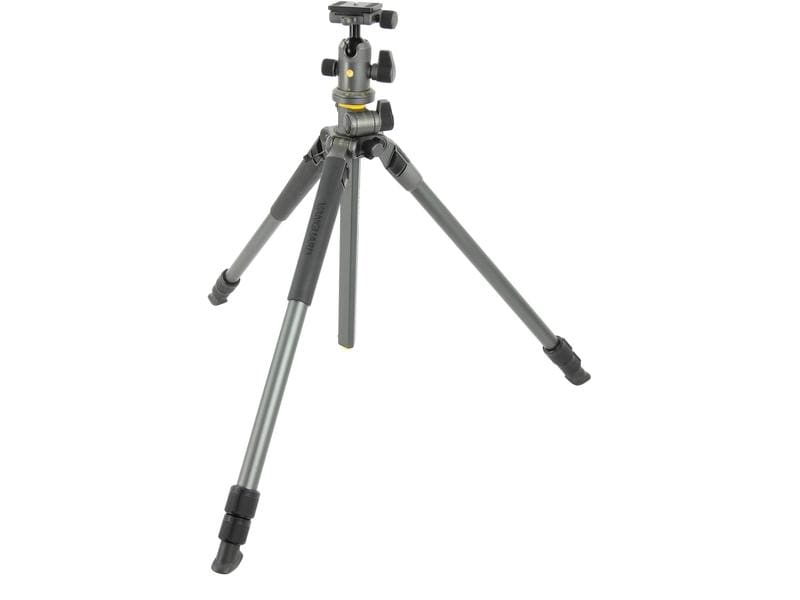 Vanguard Stativ Alta Pro2+ 263AB 100