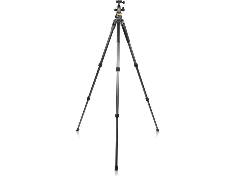 Vanguard Stativ Alta Pro2+ 263AB 100