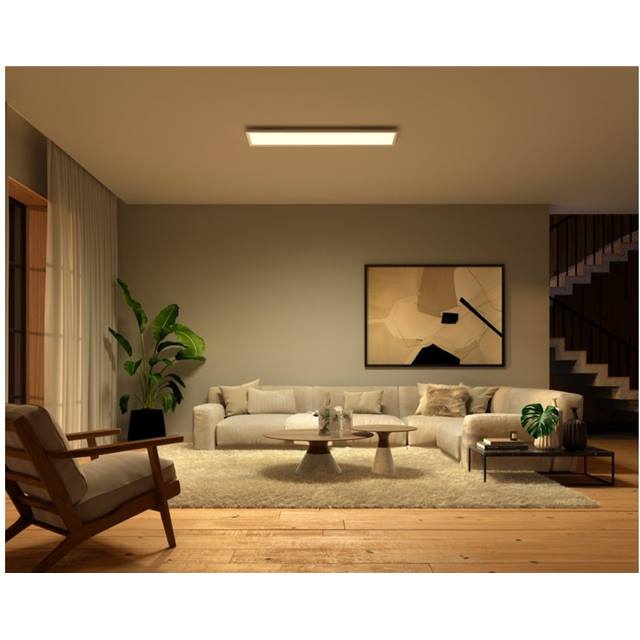 Philips Hue White & Color Ambiance Surimu Rechteckiges Panel