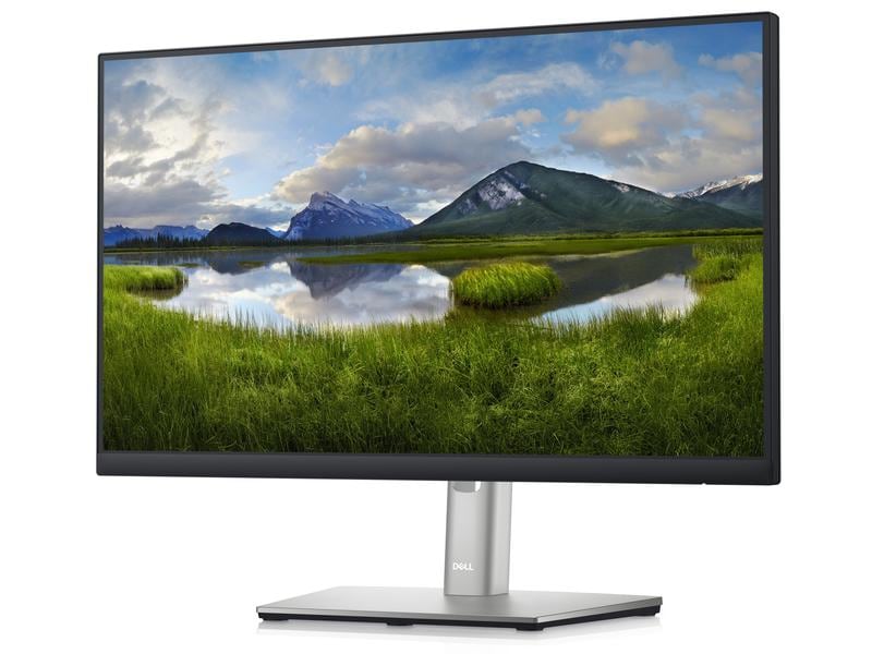 DELL Monitor P2222H