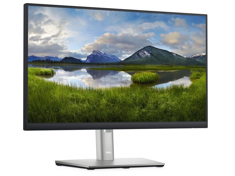 DELL Monitor P2222H