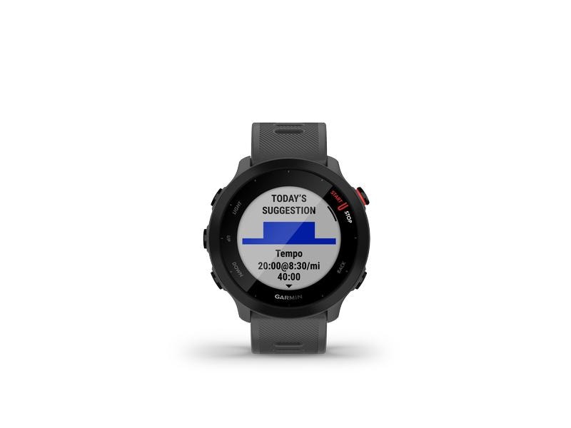 GARMIN Montre de sport Forerunner 55 Gris/Noir