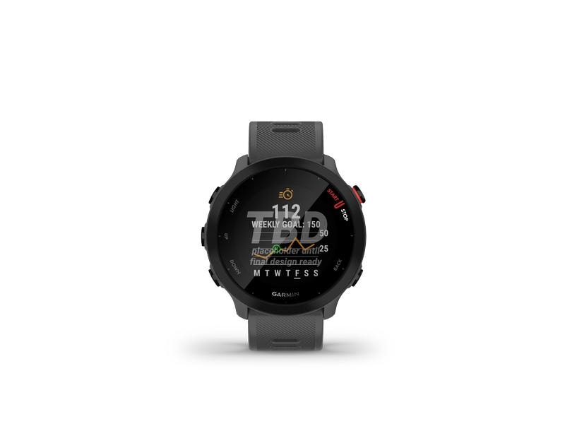 GARMIN Montre de sport Forerunner 55 Gris/Noir