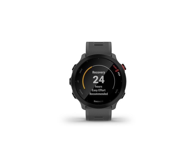 GARMIN Sportuhr Forerunner 55 Grau/Schwarz