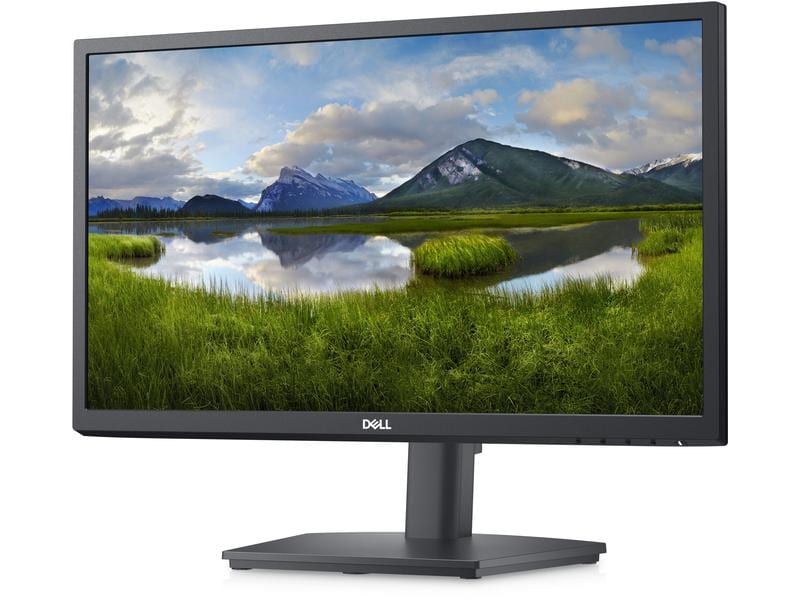 DELL Monitor E2222HS