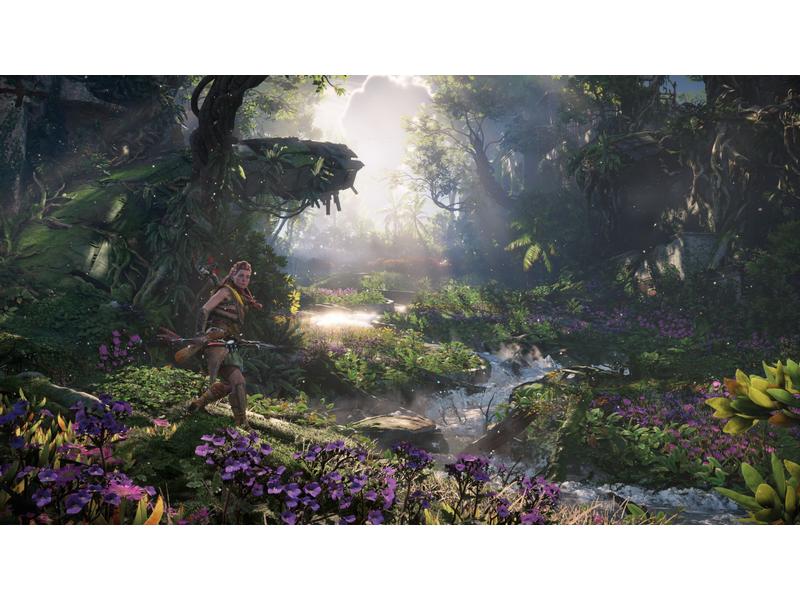 Sony Horizon Forbidden West