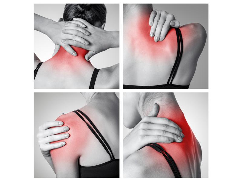 Bodi-Tek Pistolet de massage Tissue Sports Massage Gun