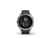 GARMIN Sportuhr Fenix 7 Anthrazit/Silber