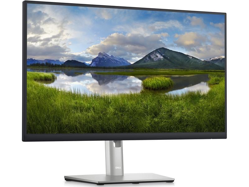 DELL Monitor P2423D