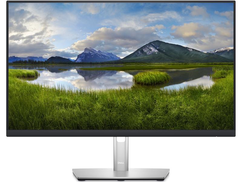 DELL Moniteur P2423DE