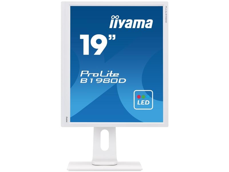 iiyama Monitor ProLite B1980D-W1