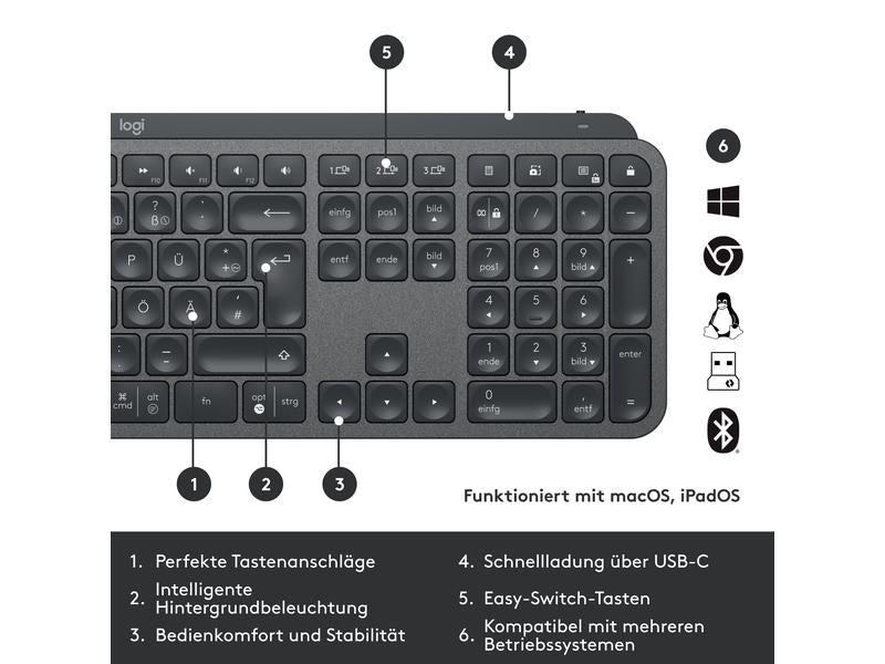 Logitech Tastatur-Maus-Set MX Keys Combo for Business 2. Gen