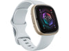 Fitbit Sense 2 Smartwatch Hellblau/Gold