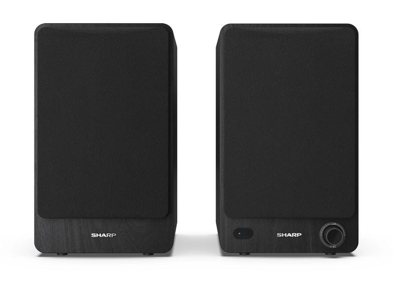 Sharp Regallautsprecher Paar CP-SS30 – Schwarz