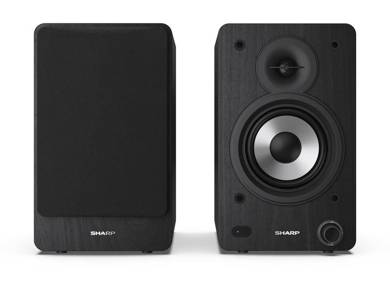 Sharp Regallautsprecher Paar CP-SS30 – Schwarz
