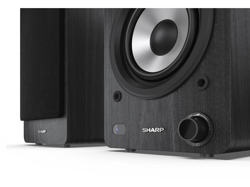 Sharp Regallautsprecher Paar CP-SS30 – Schwarz