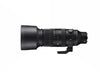 Sigma Objectif zoom 60-600mm F/4.5-6.3 DG DN OS Sony E-Mount