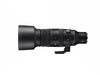 Sigma Objectif zoom 60-600mm F/4.5-6.3 DG DN OS Sony E-Mount