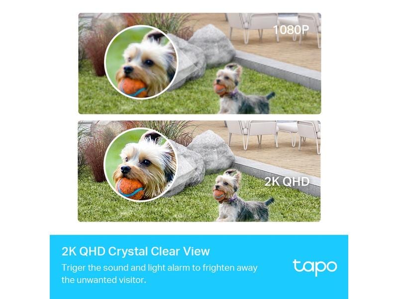 TP-Link Überwachungsset Tapo C420S1