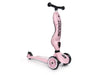 Scoot and Ride Patinette Highwaykick 1 Rose