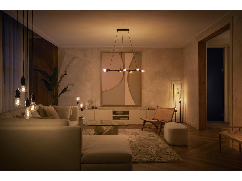 Philips Hue White E27 pack individuel filament Giant Globe 550 lm