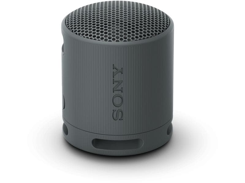 Sony Haut-parleur Bluetooth SRS-XB100 Noir