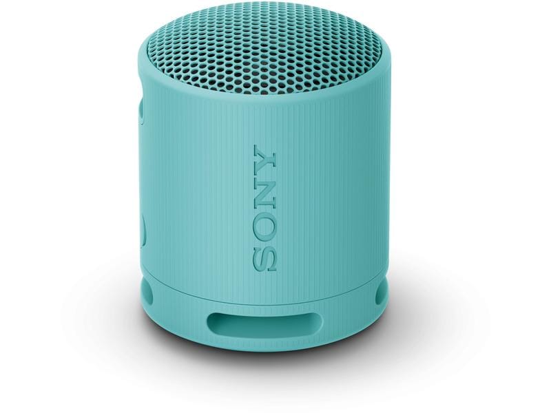 Sony Haut-parleur Bluetooth SRS-XB100 Bleu