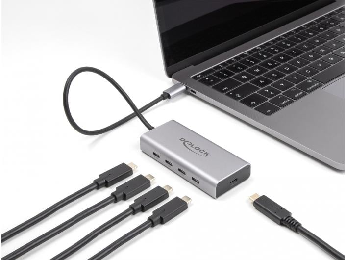 Delock Station d'accueil USB de type C 64235