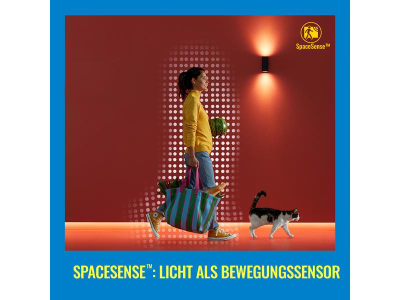 WiZ SuperSlim Tunable White & Color 2450 lm noir