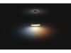 Philips Hue White Amb. Amaze suspension noir 2750 lm + dimmer