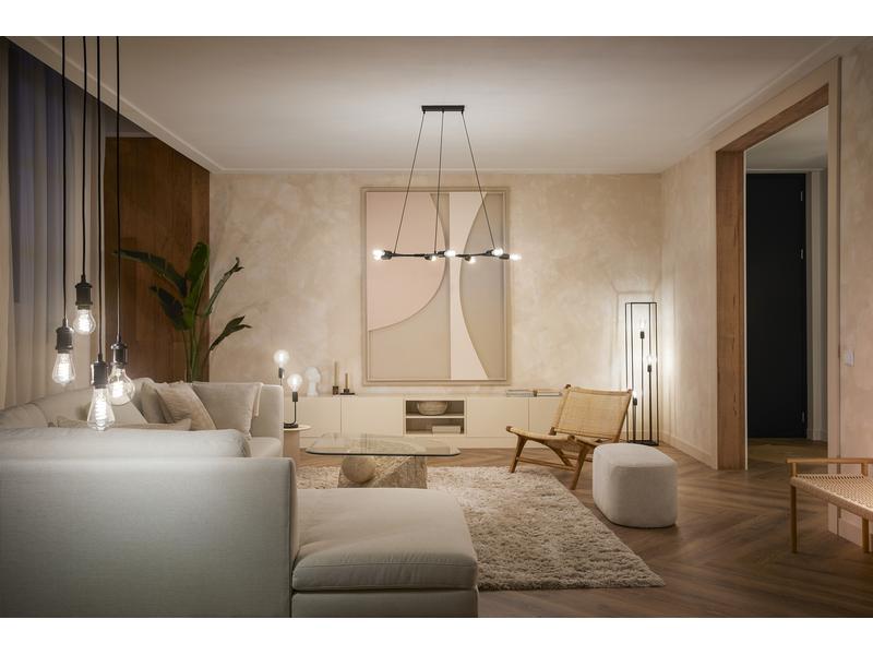 Philips Hue White Ambiance E27 pack individuel Globe G93 filament 550 lm