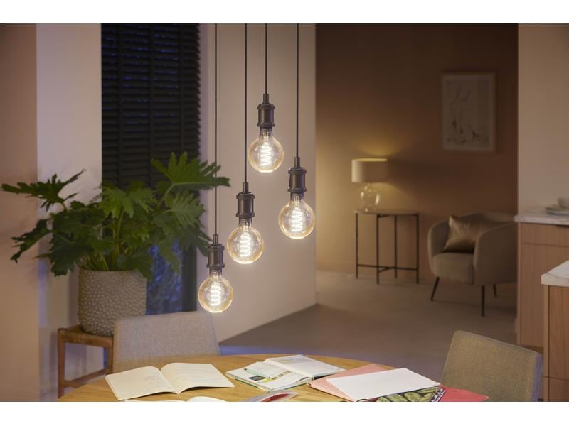 Philips Hue White Ambiance E27 pack individuel Globe G93 filament 550 lm