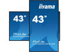 iiyama Monitor ProLite LH4360UHS-B1AG