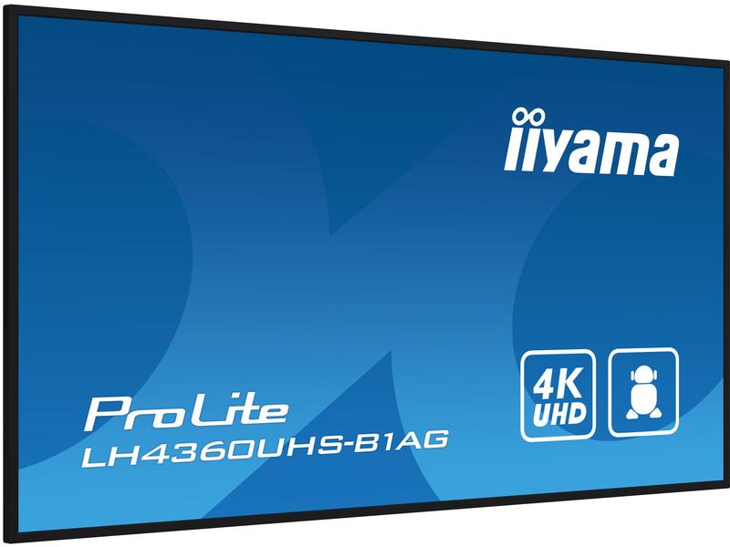 iiyama Monitor ProLite LH4360UHS-B1AG