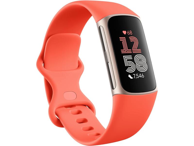 Fitbit Traqueur d'activité Charge 6