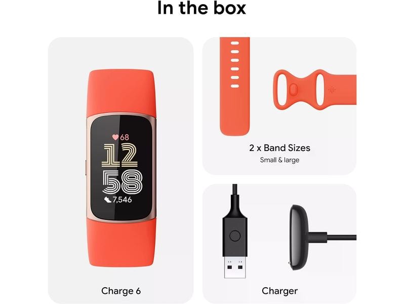 Fitbit Traqueur d'activité Charge 6
