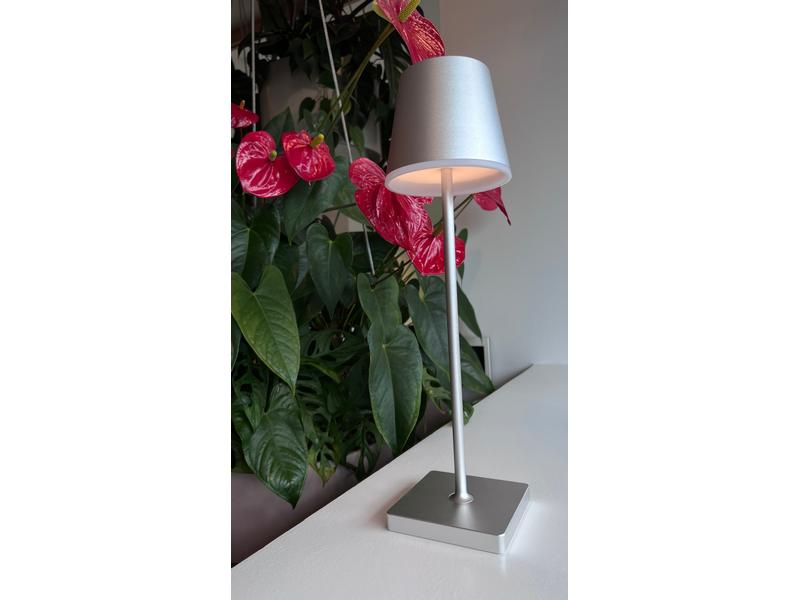 xoxo design ag Lampe de table à accu X2, 3W, 3000K, 38 cm, argenté