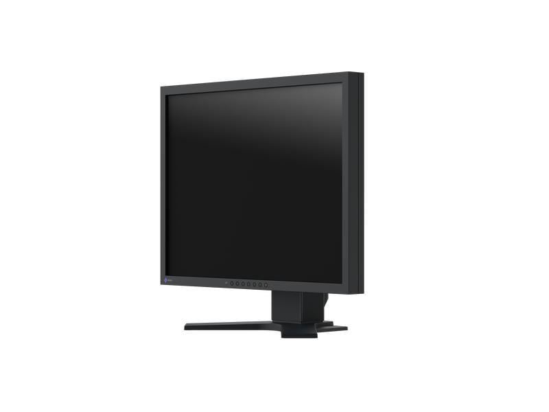 EIZO Monitor FlexScan S2134