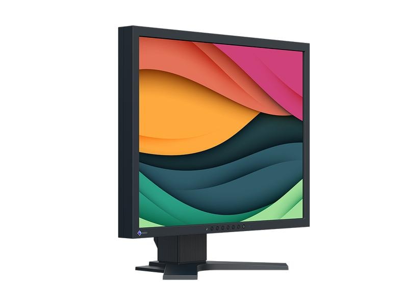 EIZO Moniteur FlexScan S2134 Swiss Edition