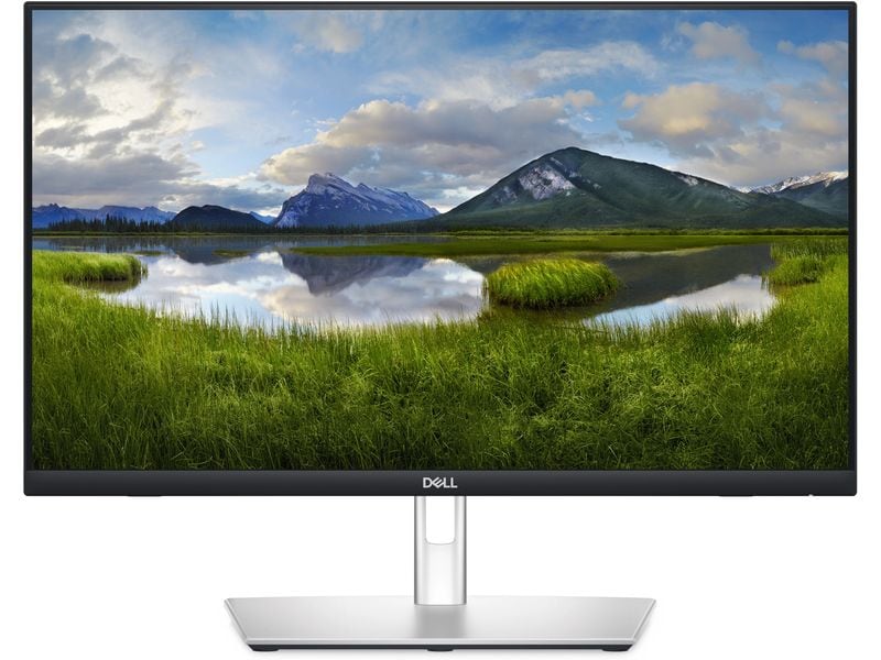 DELL Monitor P2424HT