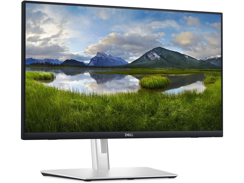 DELL Monitor P2424HT