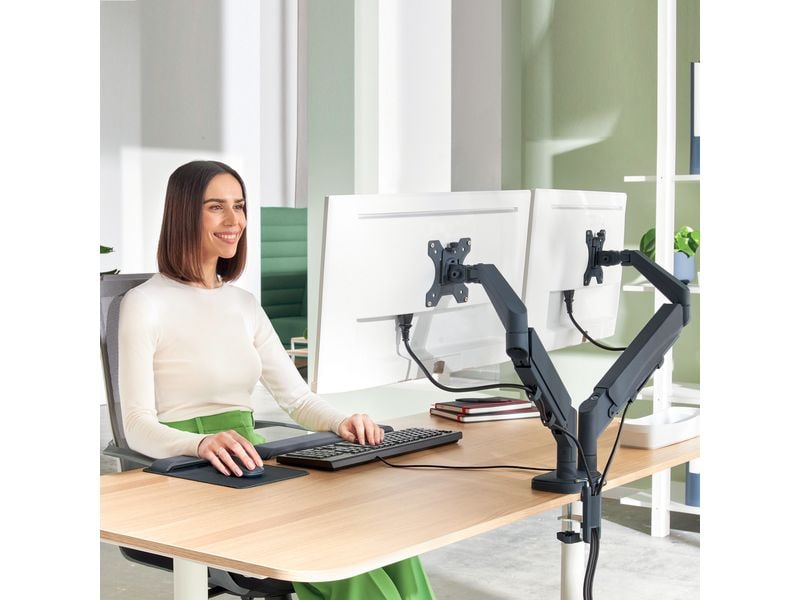 Leitz Ergo Bras du moniteur double