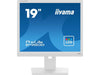 iiyama Moniteur Prolite B1980D-W5 19 